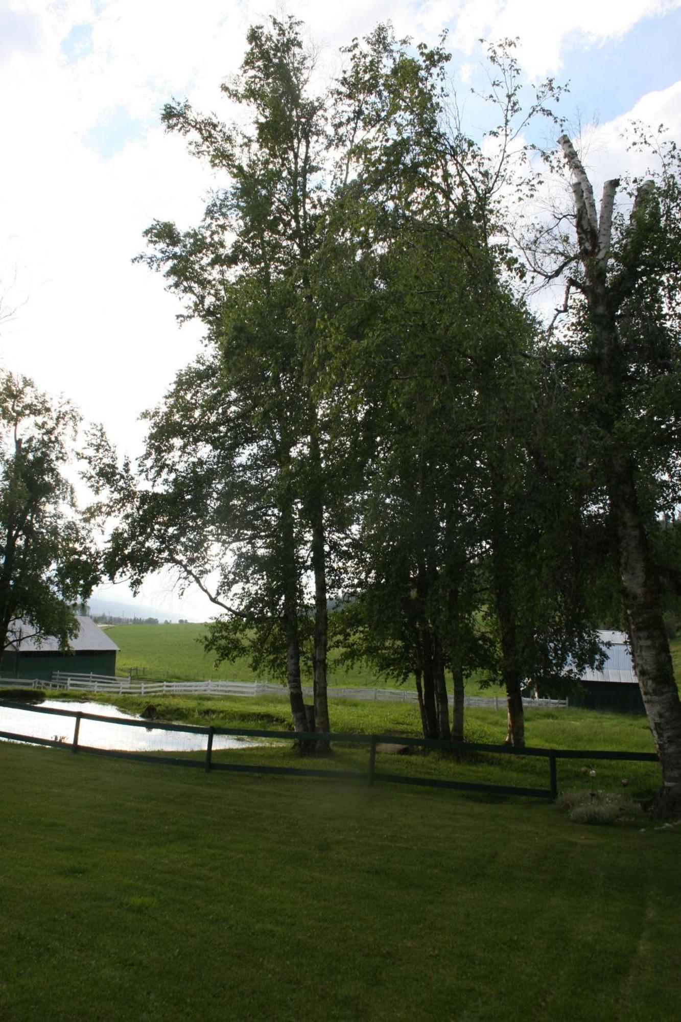 Dunphy'S Bed And Breakfast Parson Dış mekan fotoğraf